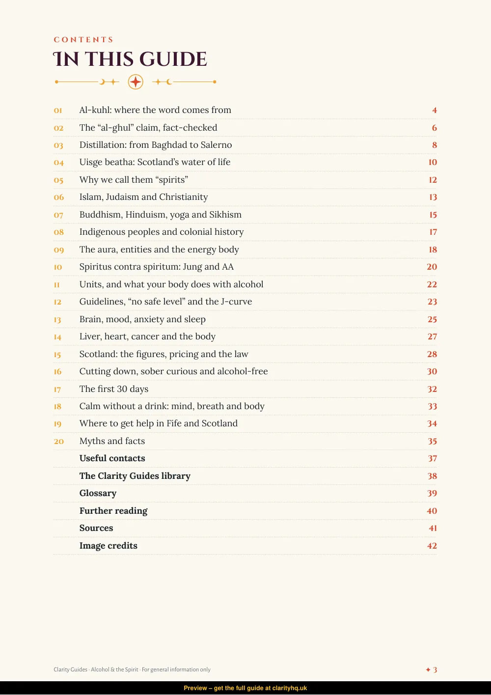 Alcohol & the Spirit, preview page 3